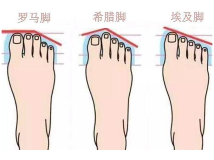 3D腳型掃描儀